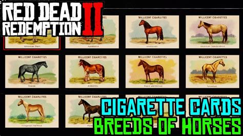 rdr2 horses cards|rdr2 horses cigarette cards locations.